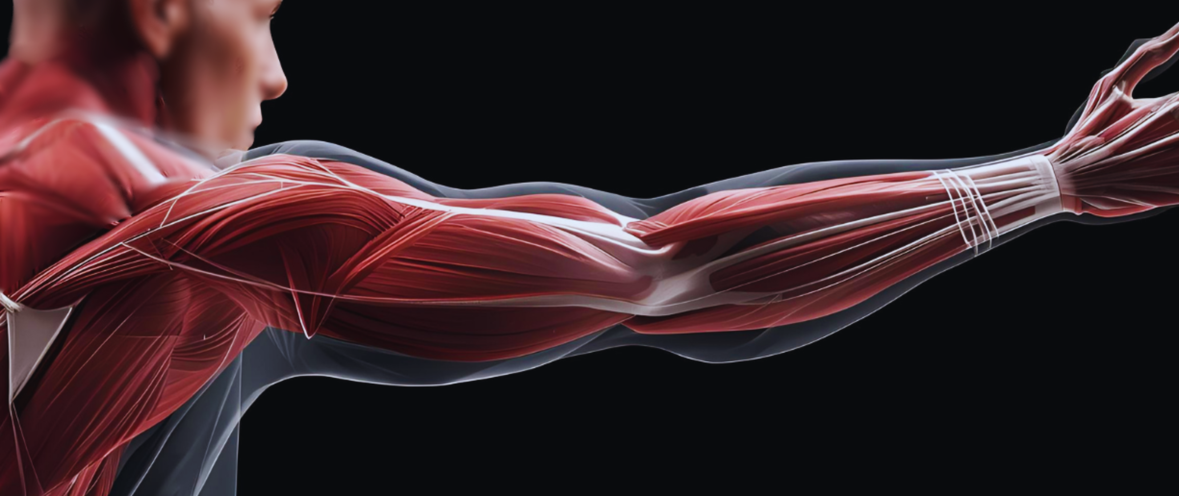 Design ohne Titel (26)